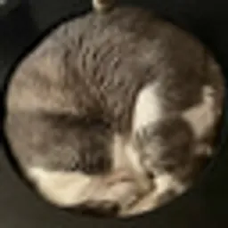 LIQUITTY