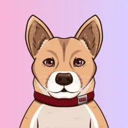 Ken First DOGE token logo