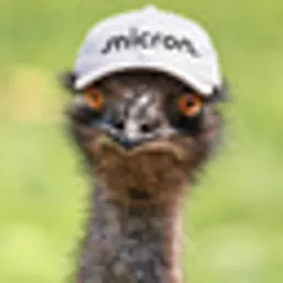 EMU