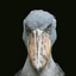 shoebill logo