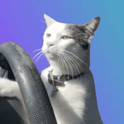 The Cat Driving token logo