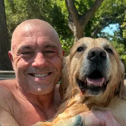 Marshal Joe Rogan’s Dog token logo