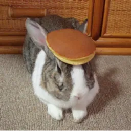 PANCAKE