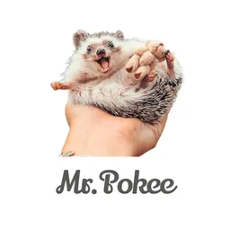 Mr.Pokee Hedgehog token logo