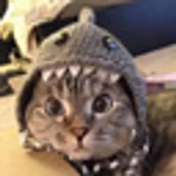 NALA