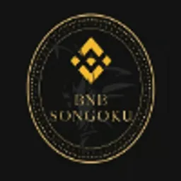 BNBsongoku token logo