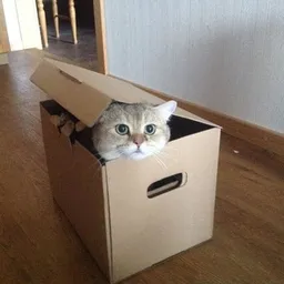 BOXED