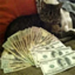 Ca$hcats logo