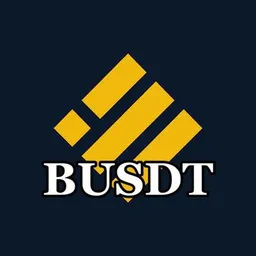 BUSDT token logo