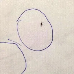 Controlled ant  token logo
