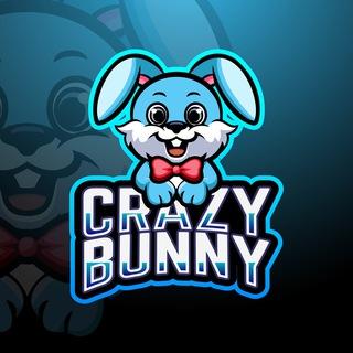 Crazy Bunny Equity Token token logo