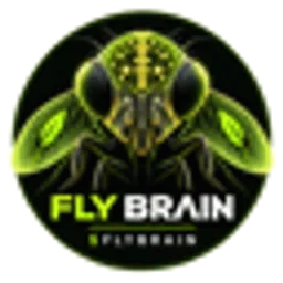 FLYBRAIN
