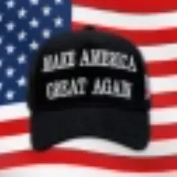 Dark MAGA token logo