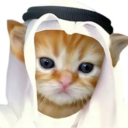 HABIBI