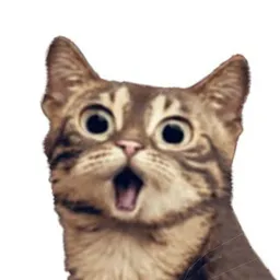 The Shocked Cat token logo