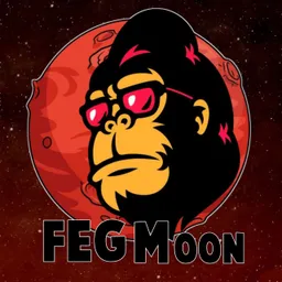 FegMoon Token token logo