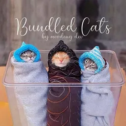 Bundled Cats token logo