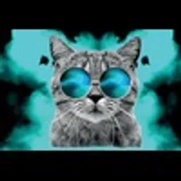 Cat wif Sunglasses token logo