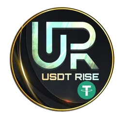 USDT RISE token logo