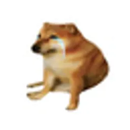 DEBTDOG