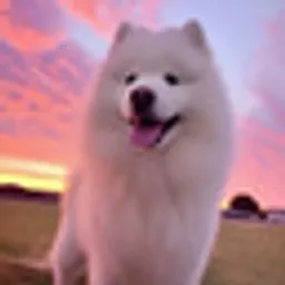 MAYA