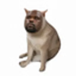 CASHSHAQ