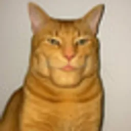 GIGACAT