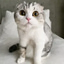 Muu
