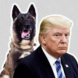 Trump Wif Dog token logo