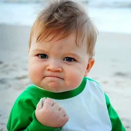 Success Kid token logo