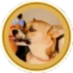 The First Doge token logo