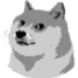 DOGE1995