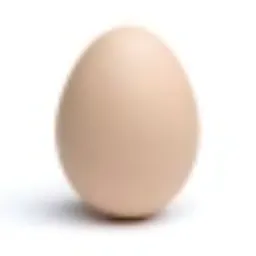 EGG