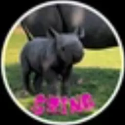 Baby Rhino Zina token logo