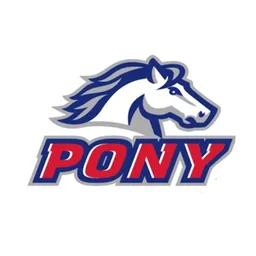 $Pony