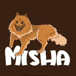 MISHA