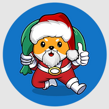 Santa Floki token logo