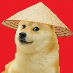 Chinese Doge Wow token logo