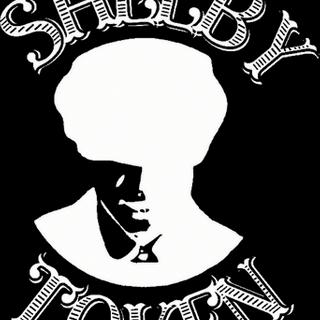 Token SHELBY token logo