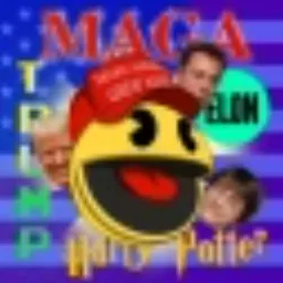 HarryPotterTrumpElon24MagaP... token logo