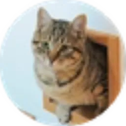 GINNAN