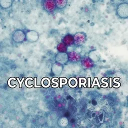 Cyclospora