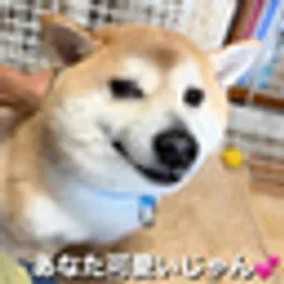 Maru-kun logo