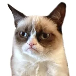 GrumpyCatCoin token logo