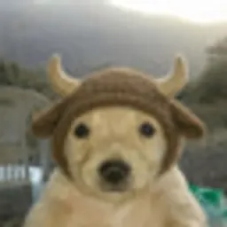 BULLCHUA