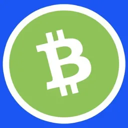 BITCOIN CASH ON BASE token logo