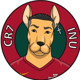 CR7INU