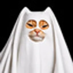 SPOOKYCAT