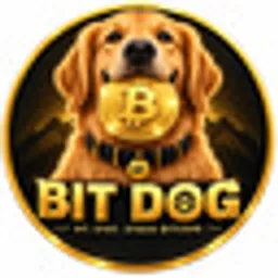 BITDOG