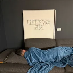 Just a Sleeping Dev token logo